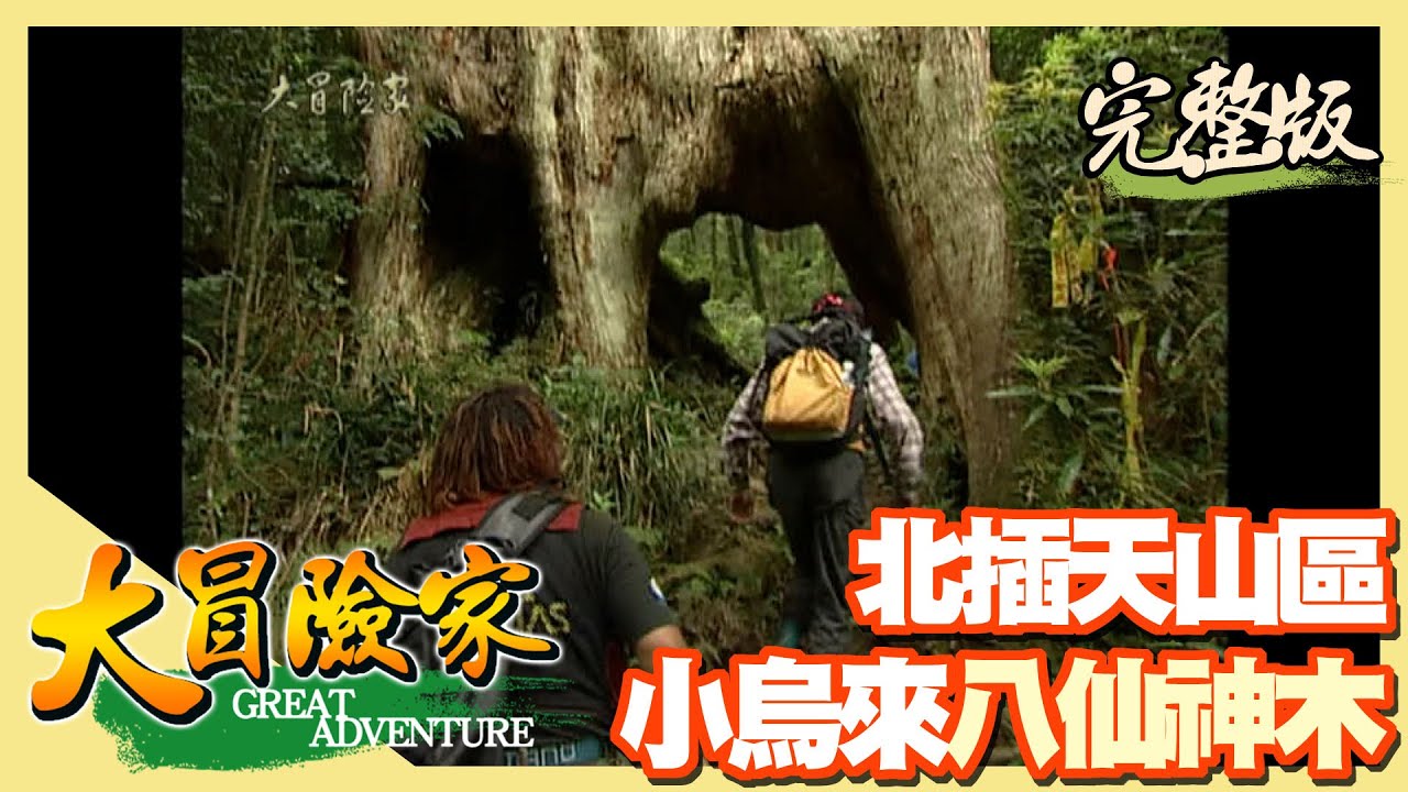 【大冒險家】八仙神木 小烏來尋仙記（義興橋／桂竹林／風動石／白紗瀑布）│2001.05.21│77集完整版