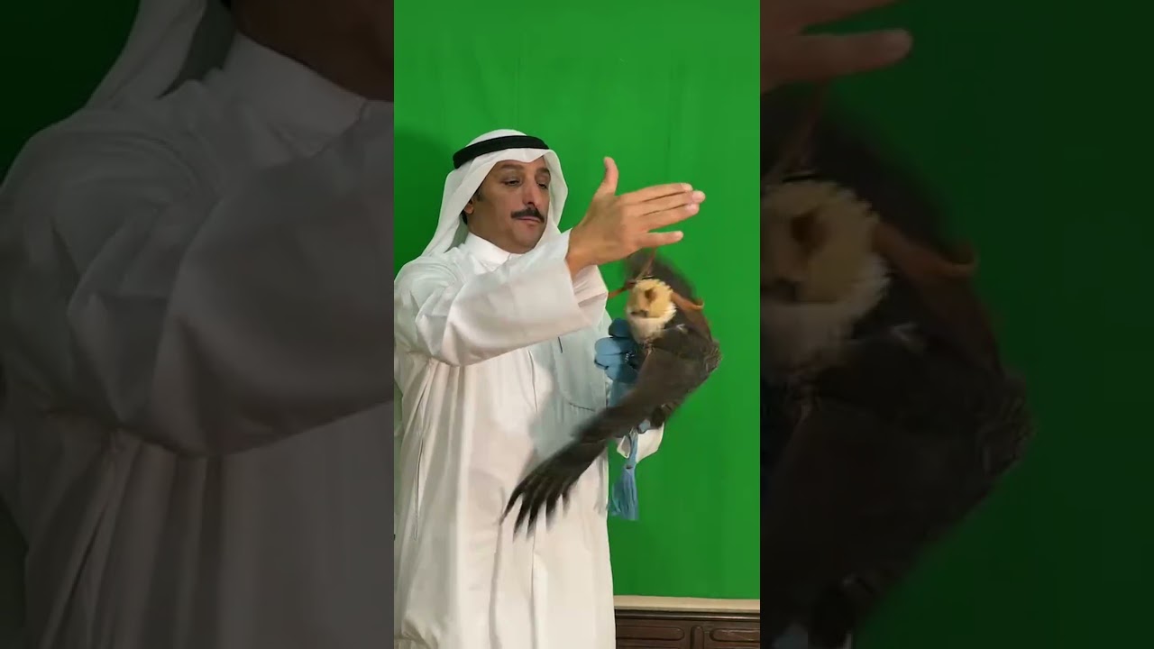 مركز هاشم الصليلي مزاد فرخ شاهين 10 آلاف دينار