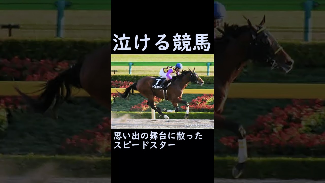 【泣ける競馬】思い出の舞台に散ったスピードスター【ゆっくり解説】#shorts #競馬 #根岸ステークス