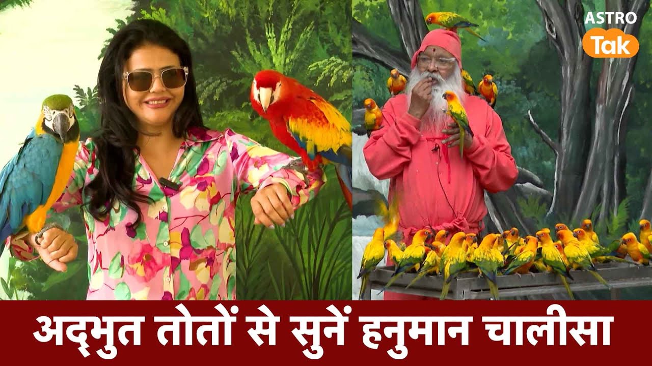 अद्भुत तोतों से सुनें हनुमान चालीसा | Sweta Singh | Astro Tak