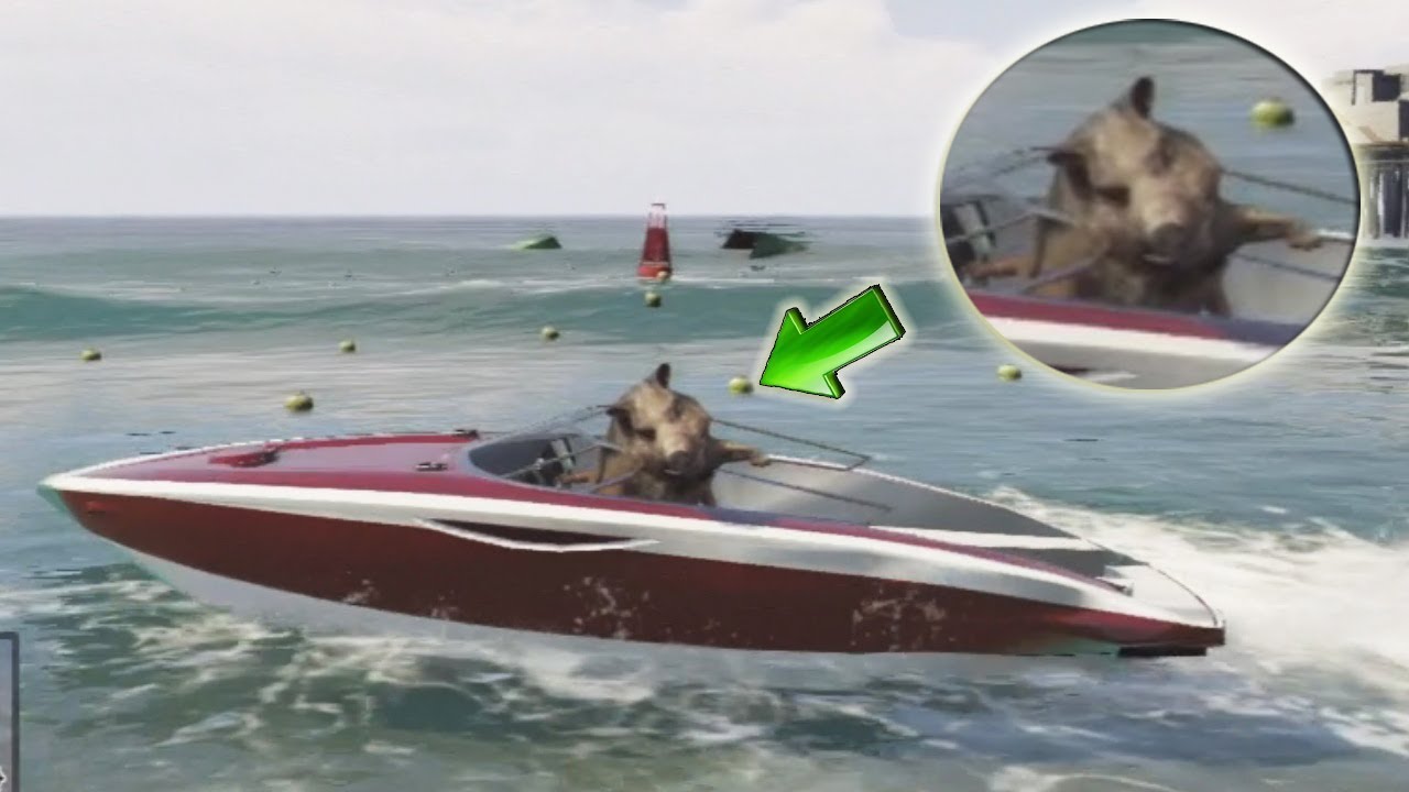 GTA V - UN JABALÍ A BORDO (Grand Theft Auto 5)