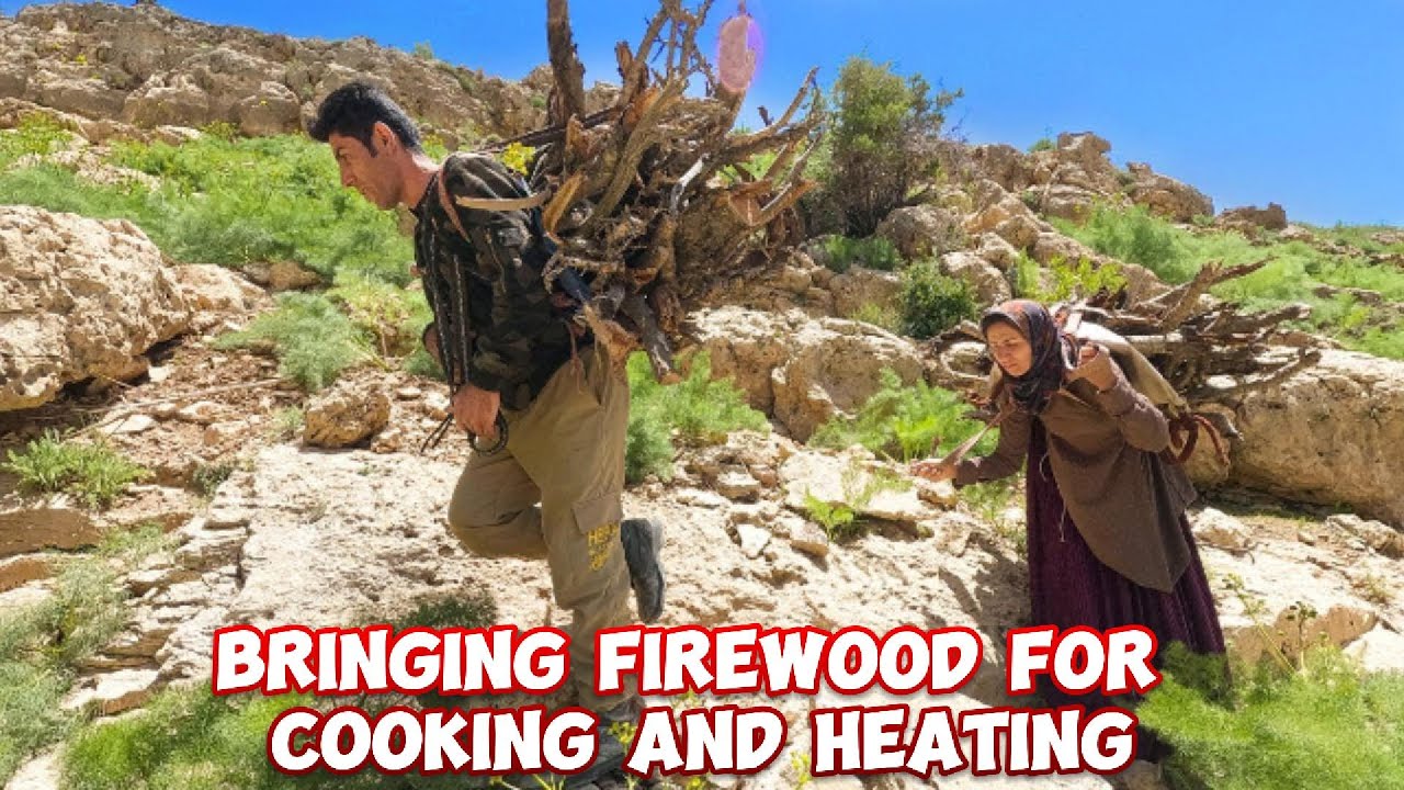 Surviving in the Mountains: The Nomadic Art of Firewood Collection - C : Vesht