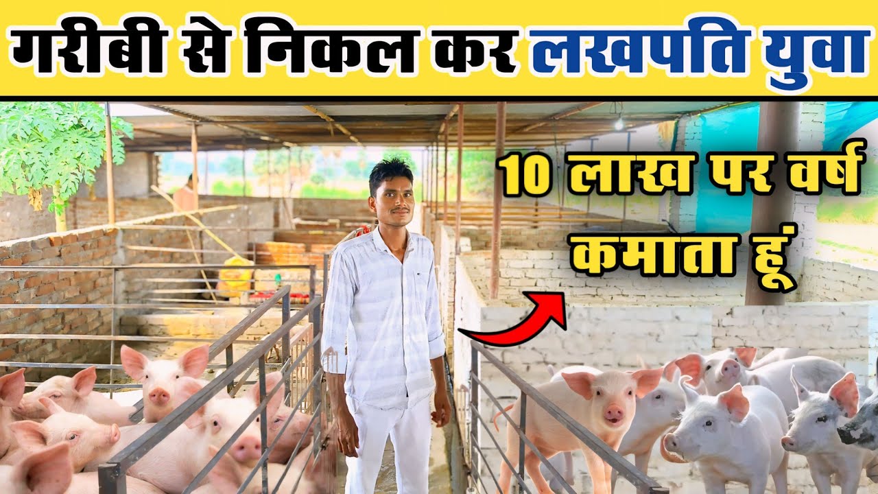 सुअर 🐖Farming नहीं पैसा💸Farming है ये | गरीबी हालात से निकल कर कमाते है 10 लाख पर वर्ष