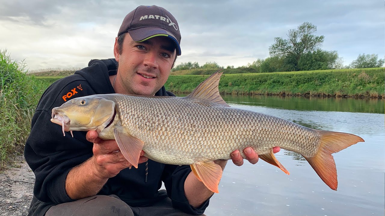 BARBEL FISHING The River Trent!