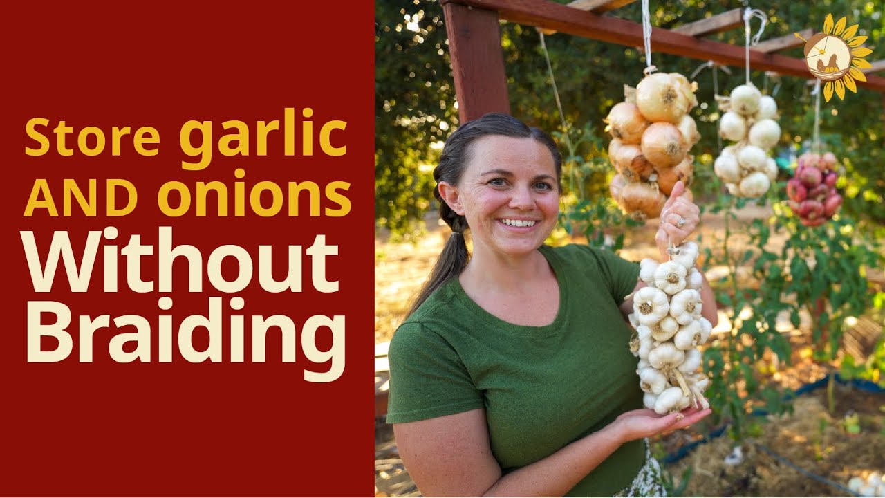 No more braiding! The EASY way to store Garlic and Onions