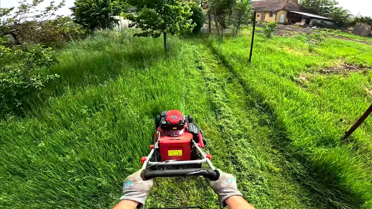 POV: Satisfying & Relaxing Lawn Mowing Tall Grass | GoPro ASMR