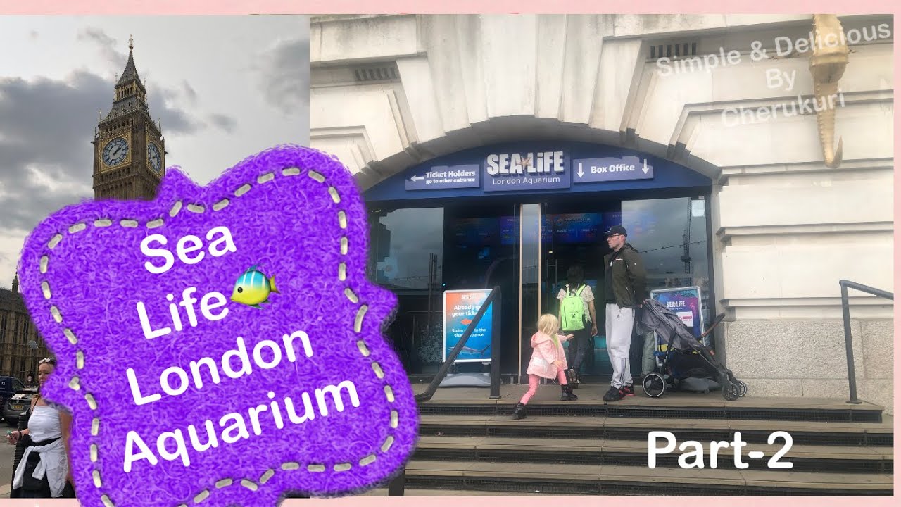 Come with me to visit “SEALIFE LONDON AQUARIUM” In Central London//Perfect pace to visit part-2