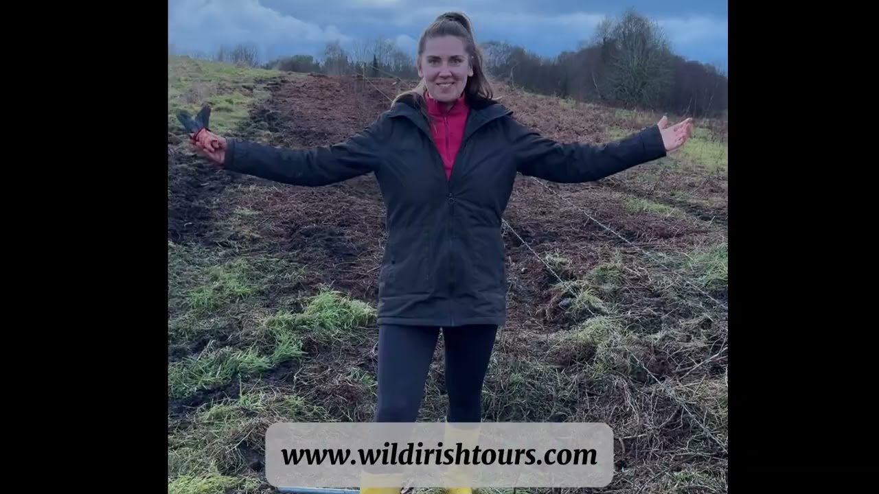 Wild Irish Tours offsetting 2025 tour emissions by planting 4000 trees on the home farm. 
