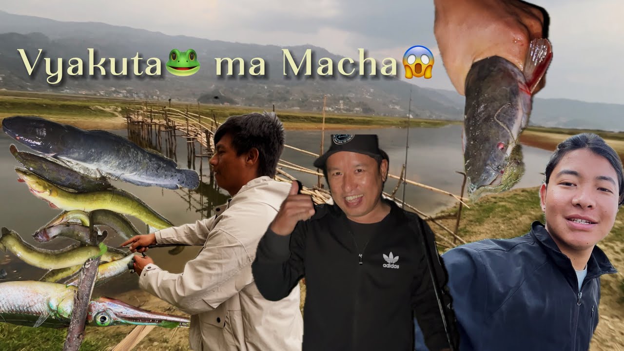 Vyakuta 🐸 ma Catfish marna try gardai 😱 || FISHING 🎣 || @santosh-l2o3p
