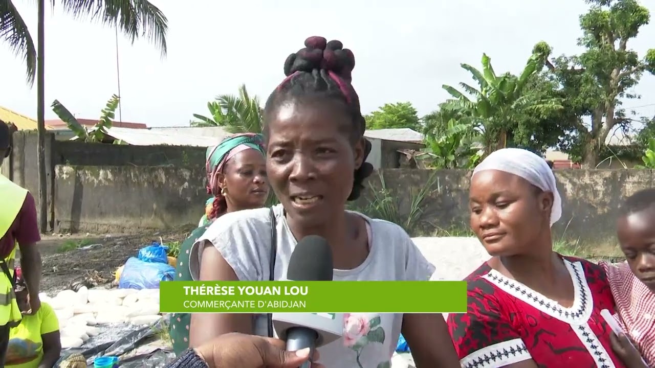 Adiaké : quand le commerce de placali devient une activité lucrative Pour les femmes de la localité