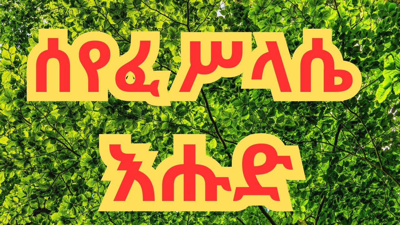 የእሑድ ሰይፈ ሥላሴ I Seife Selassie Sunday I Ethiopian Orthodox Tewahedo