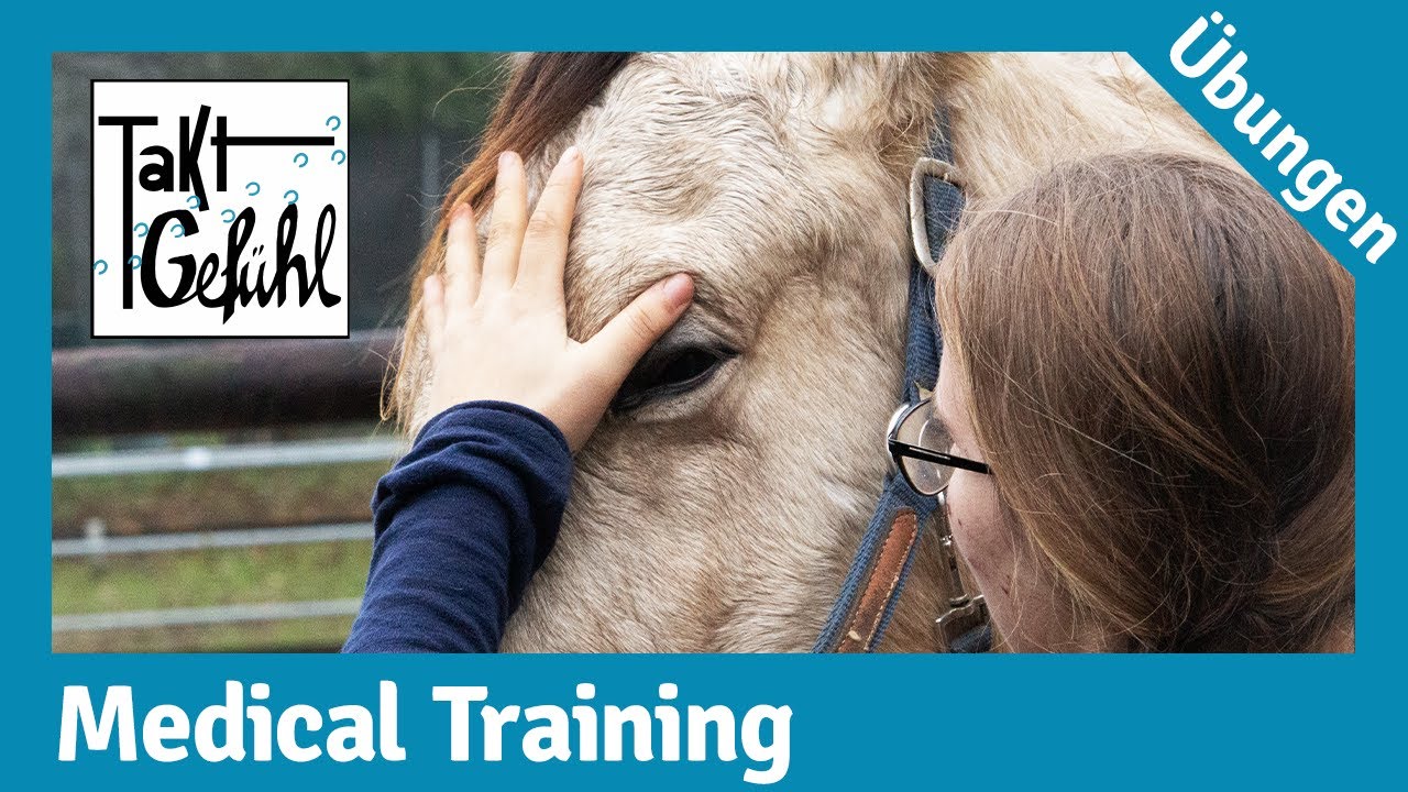 Medical Training // Trainingstipps für ruhige Tage