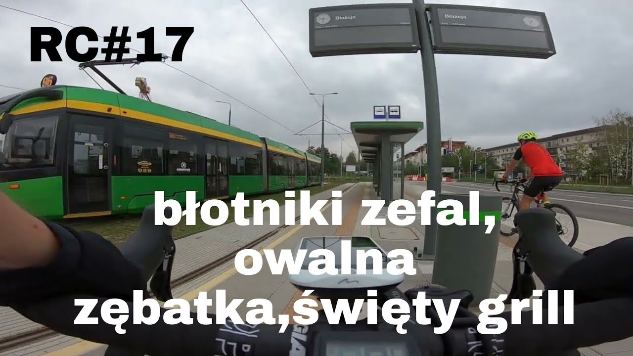 Rc#17 // błotniki Zefal // owalna zębatka // święty grill //