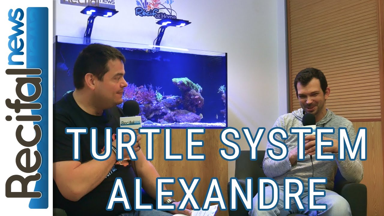 Récifathome - Journée Aquaculture - Turtle System