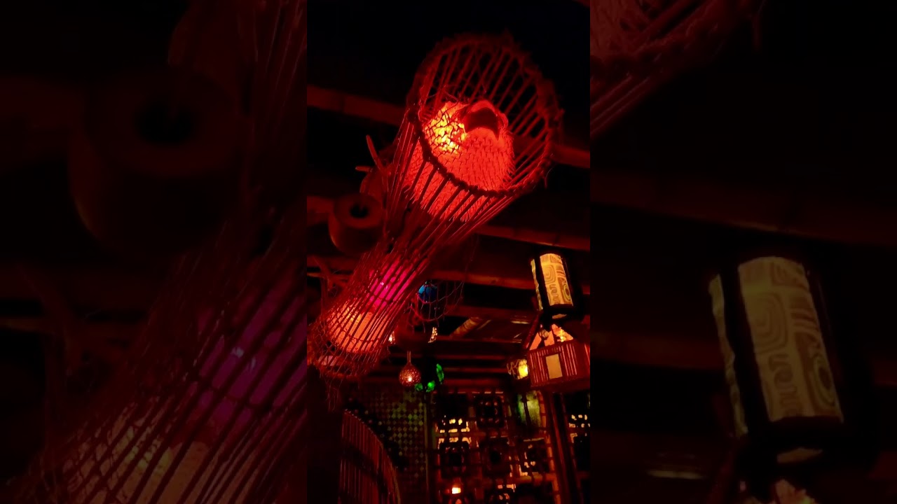 Tail O the Pup and Lucky Tiki Speakeasy Bar #luckytiki #speakeasy #tikibar