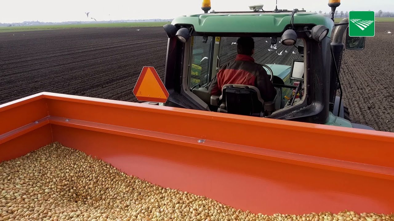 Stereo-uienplanter zorgt voor minder ziekten