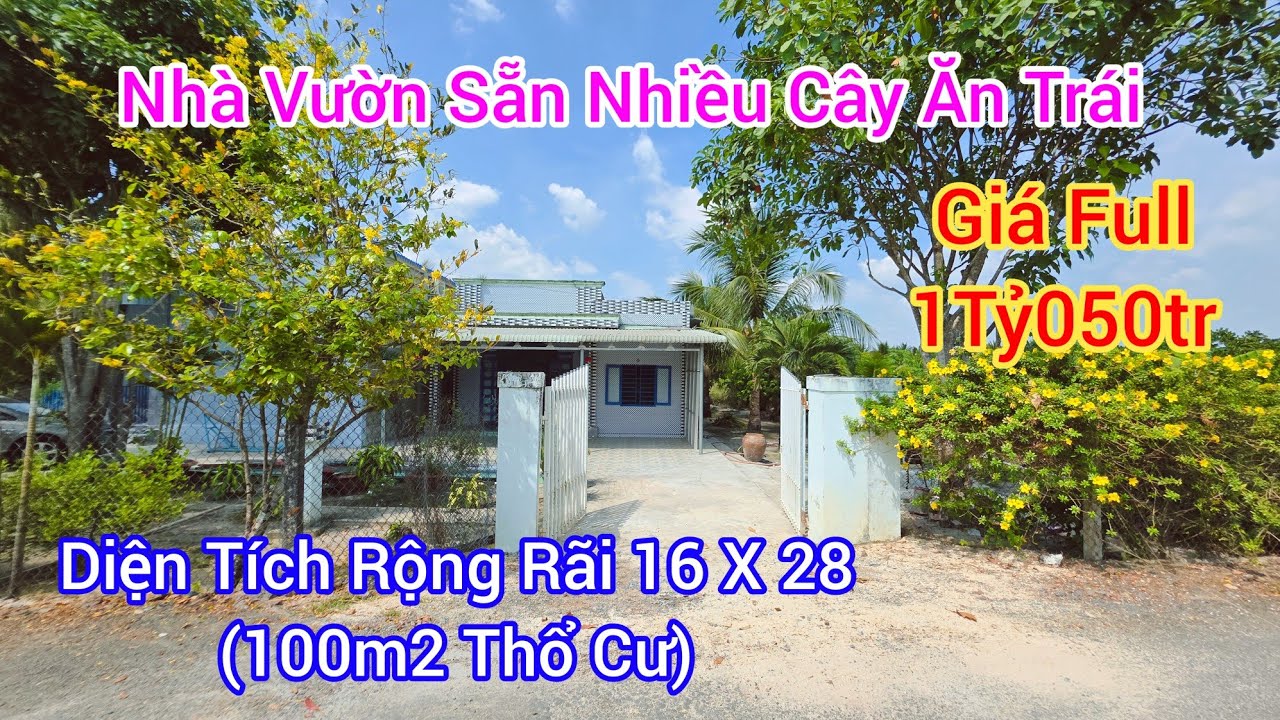 Cả Nhà Muốn Bỏ Phố Vể Vườn Thì Chốt Nhanh Căn Nhà Vườn Này DT Rộng Mà Giá Quá Rẻ Còn Sẵn Cây Ăn Trái