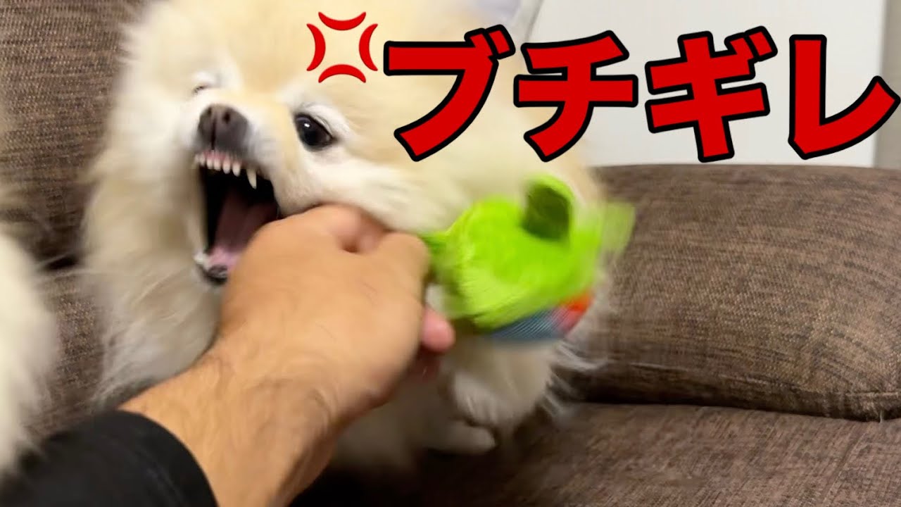 【ブチギレ】さすがにこれは誰でも怒ります！
