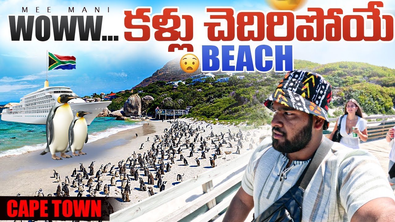 Only Place in South Africa to See These 😲 | Cape Town | Africa Ep-91 | Me Mani