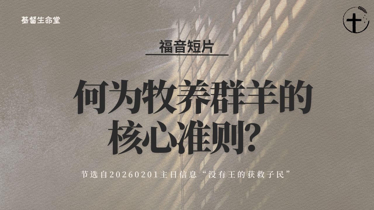 何为牧养群羊的核心准则？|福音短片20260125 —02