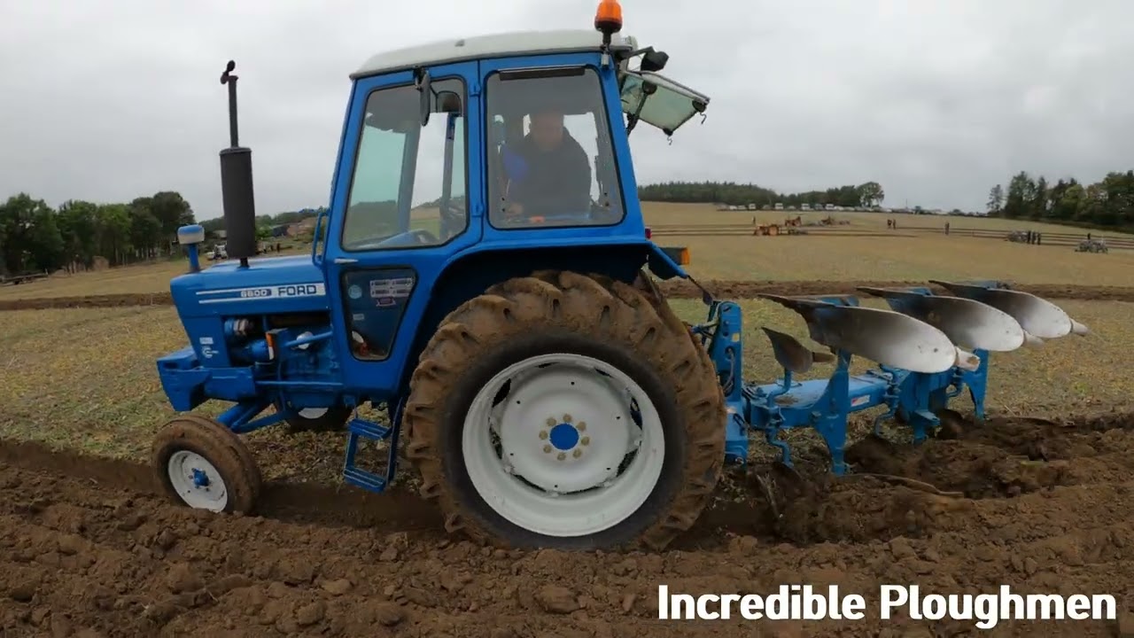 1977 Ford 6600 Utility 4.2 Litre 4-Cyl Diesel Tractor (78 HP) Morville Heath Ploughing Match 2025