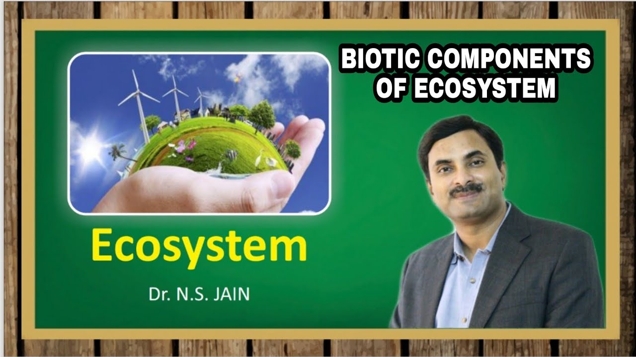 Biotic Components of Ecosystem | Ecosystem