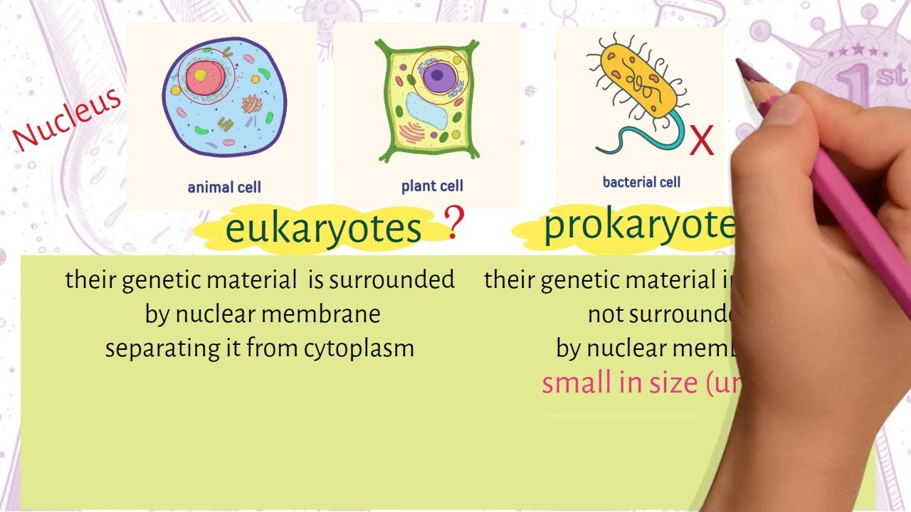 Science Prep 1 Unit 3 Lesson 1 (Cells and life) ساينس أولى إعدادي شرح الوحده الثالثه الدرس الاول