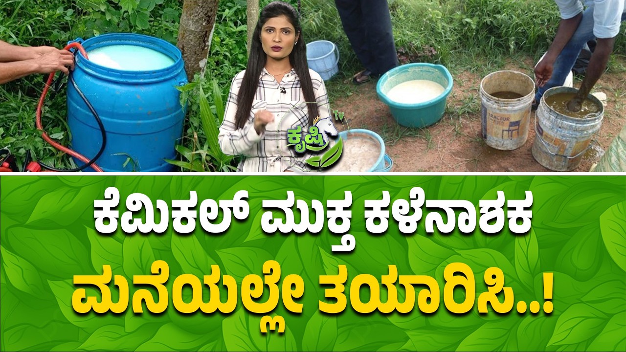 ಮನೆಯಲ್ಲೇ ಕೆಮಿಕಲ್ ಮುಕ್ತ ಕಳೆನಾಶಕ ತಯಾರಿಸಿ..!| Eco-Friendly Weed Killer