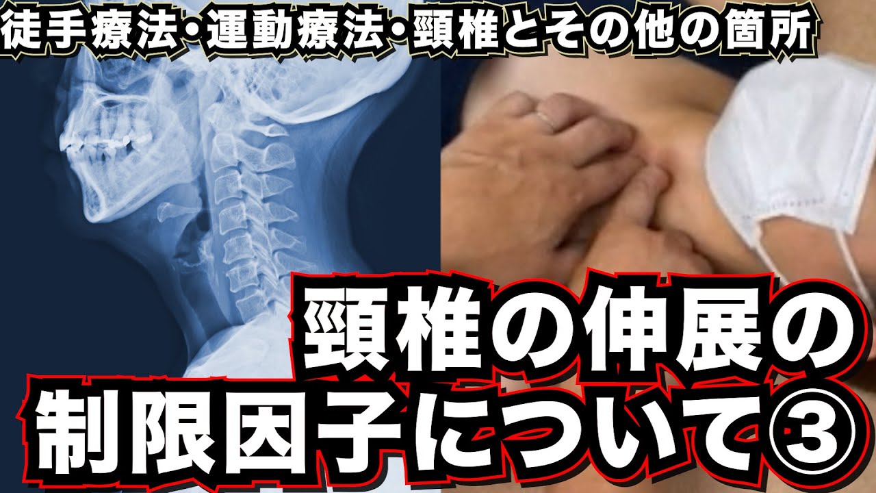 頸部治療は全身視点で！繊細タッチが鍵　#セミナー, #セラピスト, #リハビリ, #神経痛, #リハビリ, #解剖学, #柔道整復師, #治療