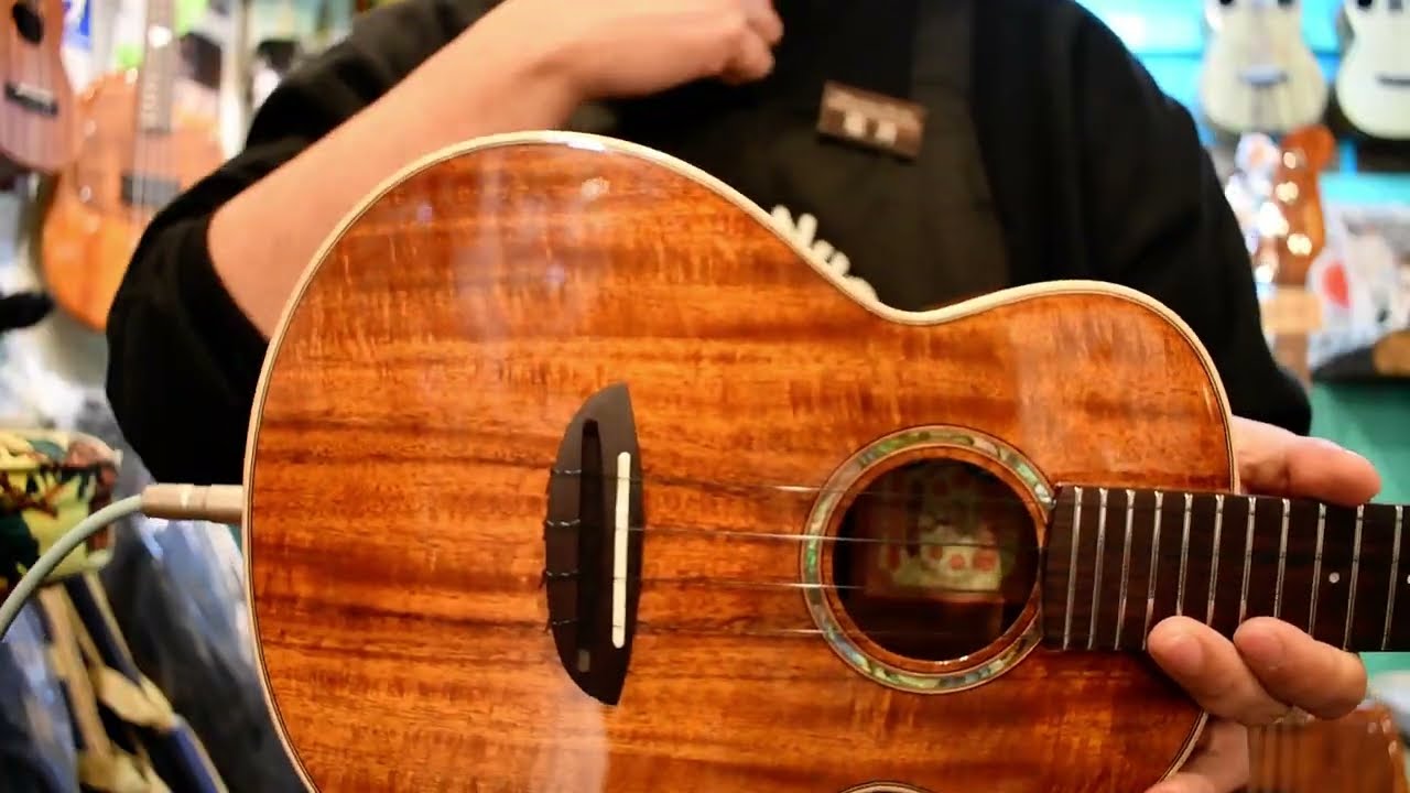 NEW/aNueNue AAA2E Concert【お茶の水店】 @ukuleleshoptantan