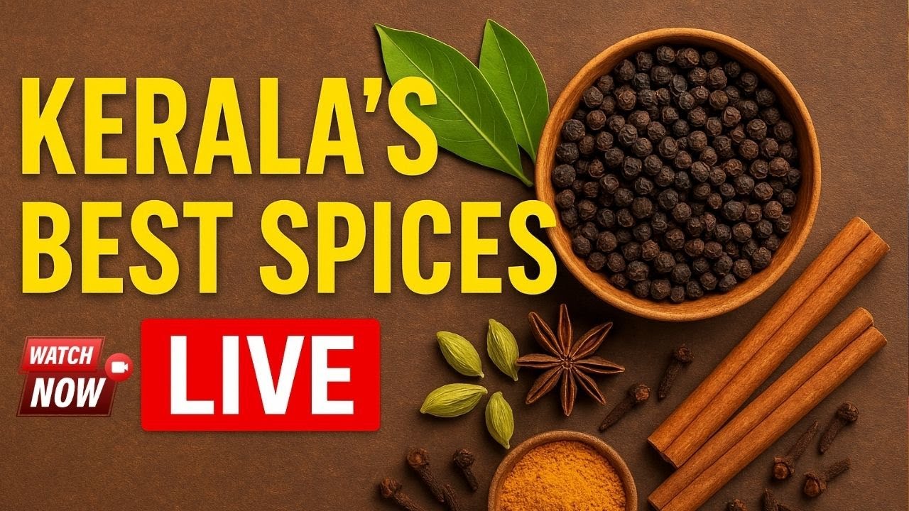 Kerala’s Best Spices Live | Discover the World’s Finest Flavors from God’s Own Country
