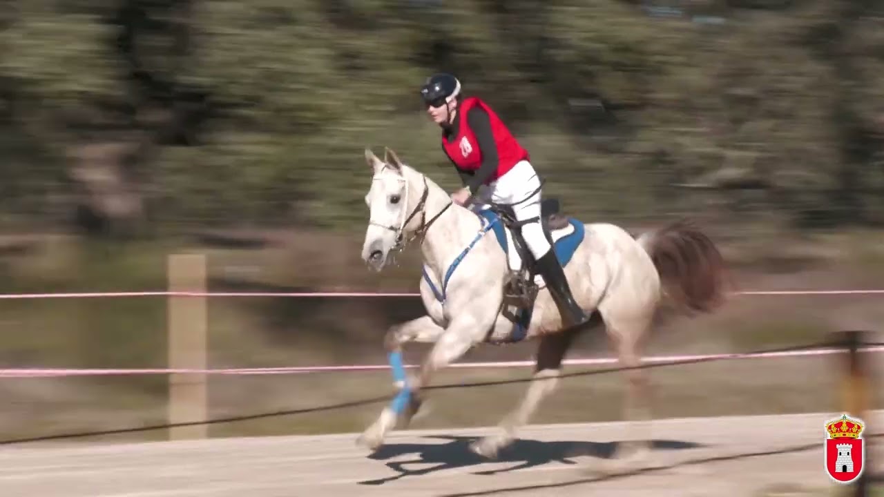 CARRERA CABALLOS TORIL 2025  FINAL CRUZADOS