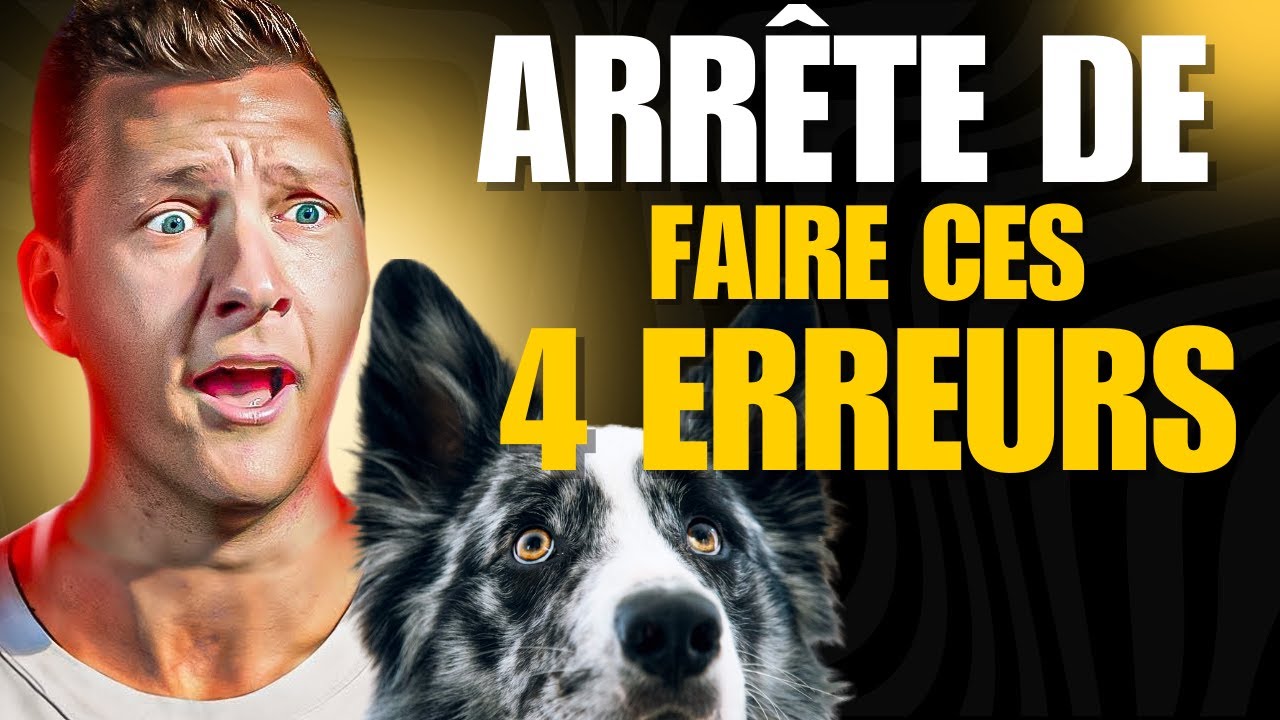 Ne Fais Pas Ceci En Promenade Avec Ton Chiot ou Ton Chien
