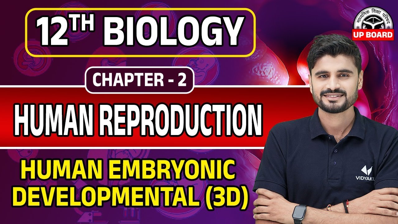 Class 12th Biology Chapter 2 UP Board | Human Embryonic Development Class 12 Biology