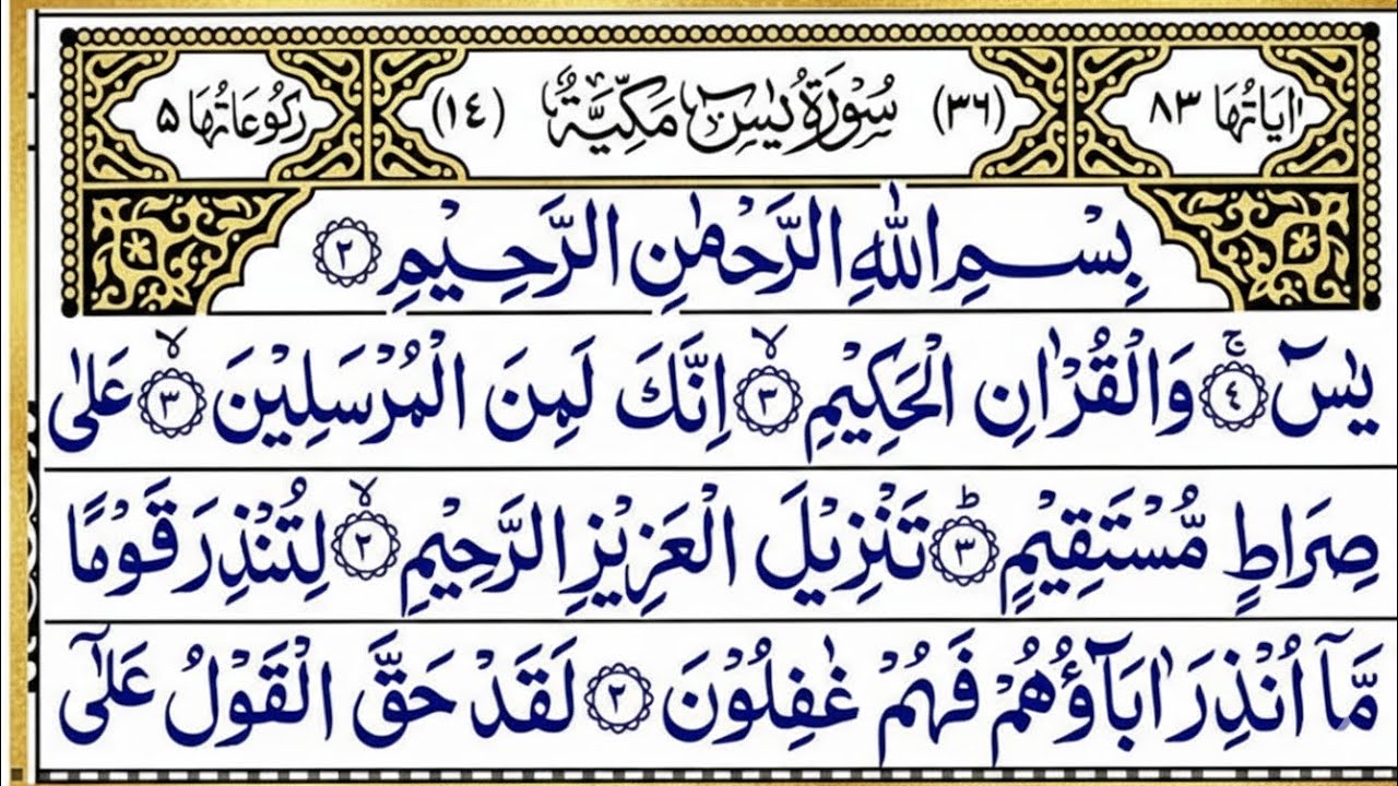 Surah Yaseen (36) | Surah Ar-Rahman (55) 🤍✨Heart of the Qur’an | Surah of Mercy