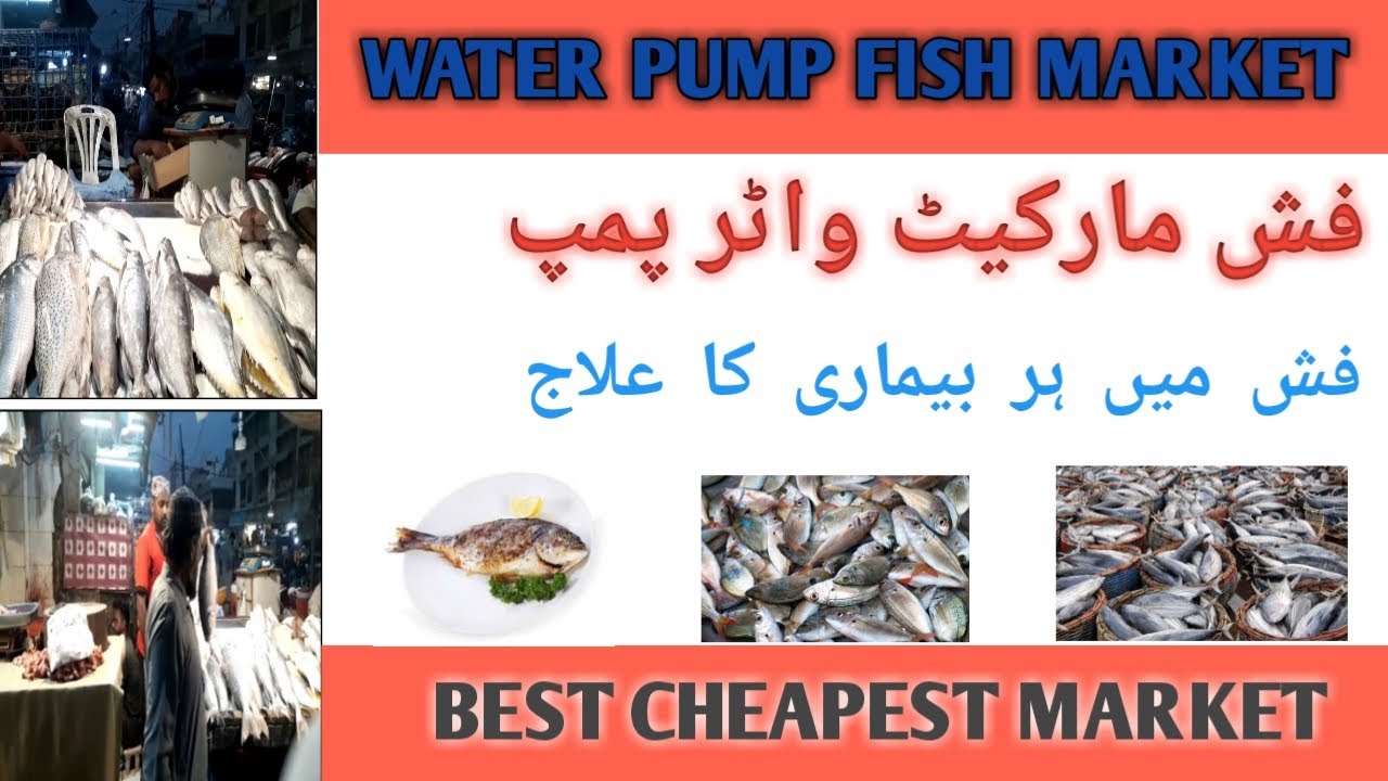 Best Fish Market Karachi| Water Pump Fish Market| Cheap Price Fish Market