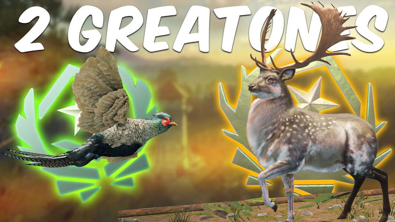 GREATONES DE FAIS&Atilde;O E GAMO NO CH&Atilde;O - ACOMPANHEI OS INSCRITOS - THE HUNTER CALL OF THE WILD