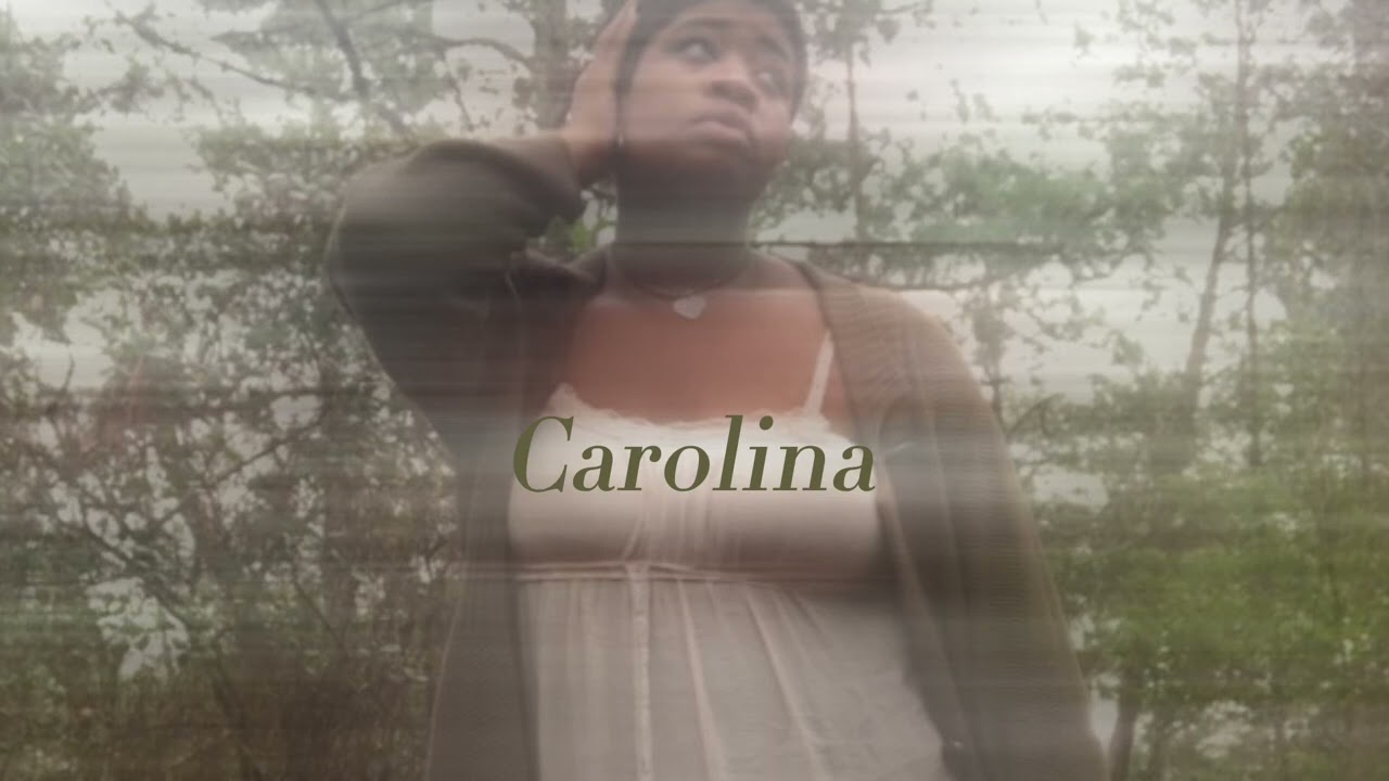 carolina- harry styles (sped up)