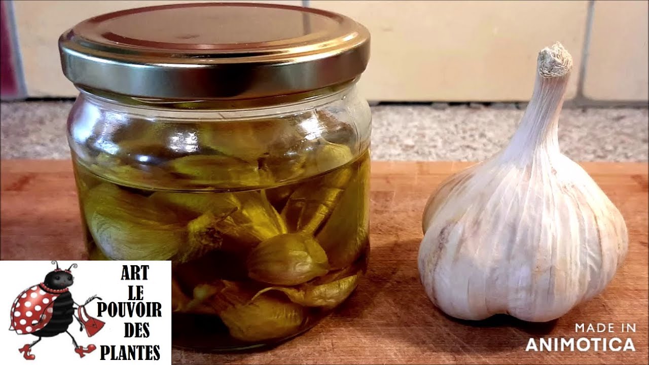 Cuisine: Recette facile et rapide: Ail confit bio du jardin à l'huile d'olive