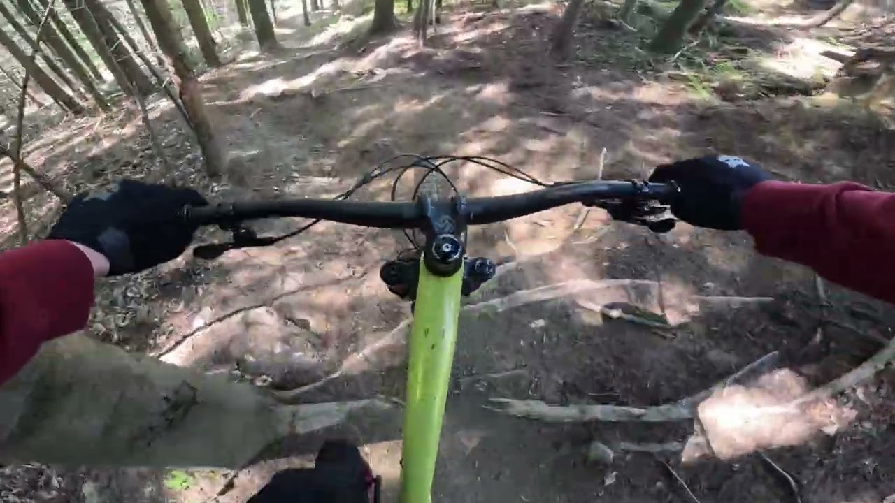 Kasina Bike Park - Dzika