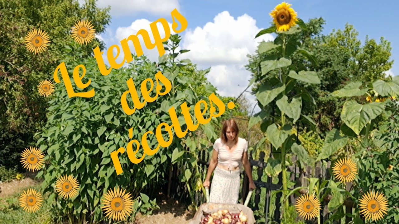 Lugnasad : le temps des récoltes.         #vevor