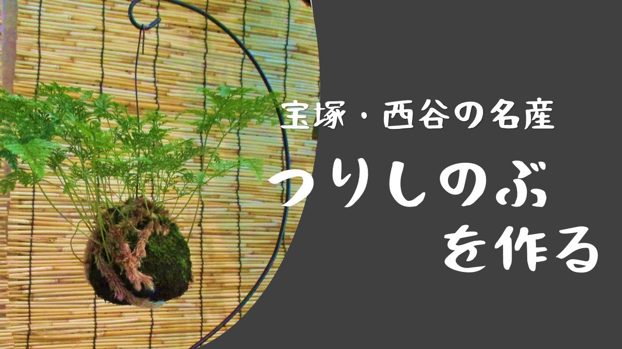 【宝塚公民館ちゃんねる】つりしのぶを作る