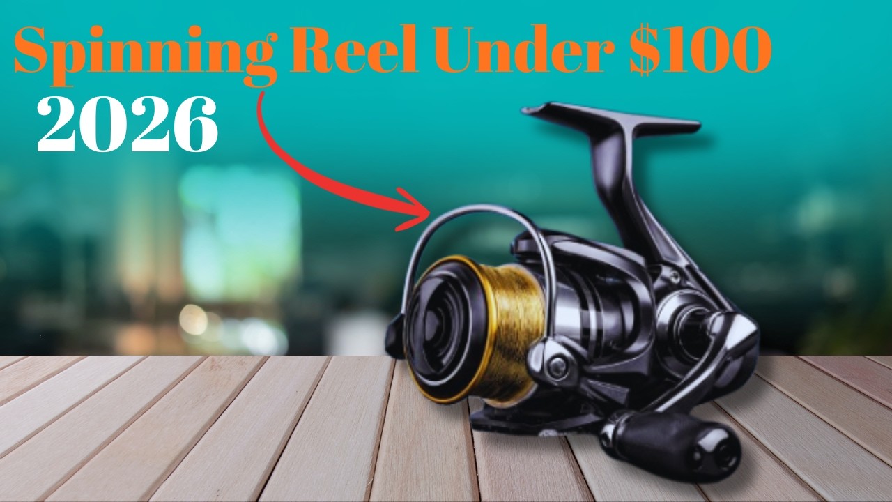 🎣 Top 5 Best Spinning Reels Under $100 in 2026 — Ultimate Budget Fishing Power Picks