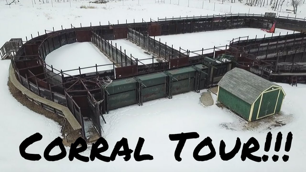 Bison Corral System 101!!!