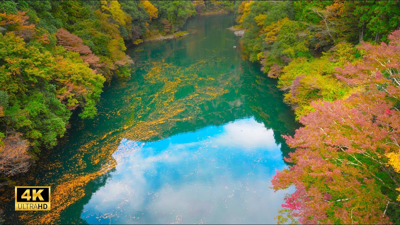Tokyo suburbs🍁Autumn foliage hike in Okutama | 4K Japan Hike