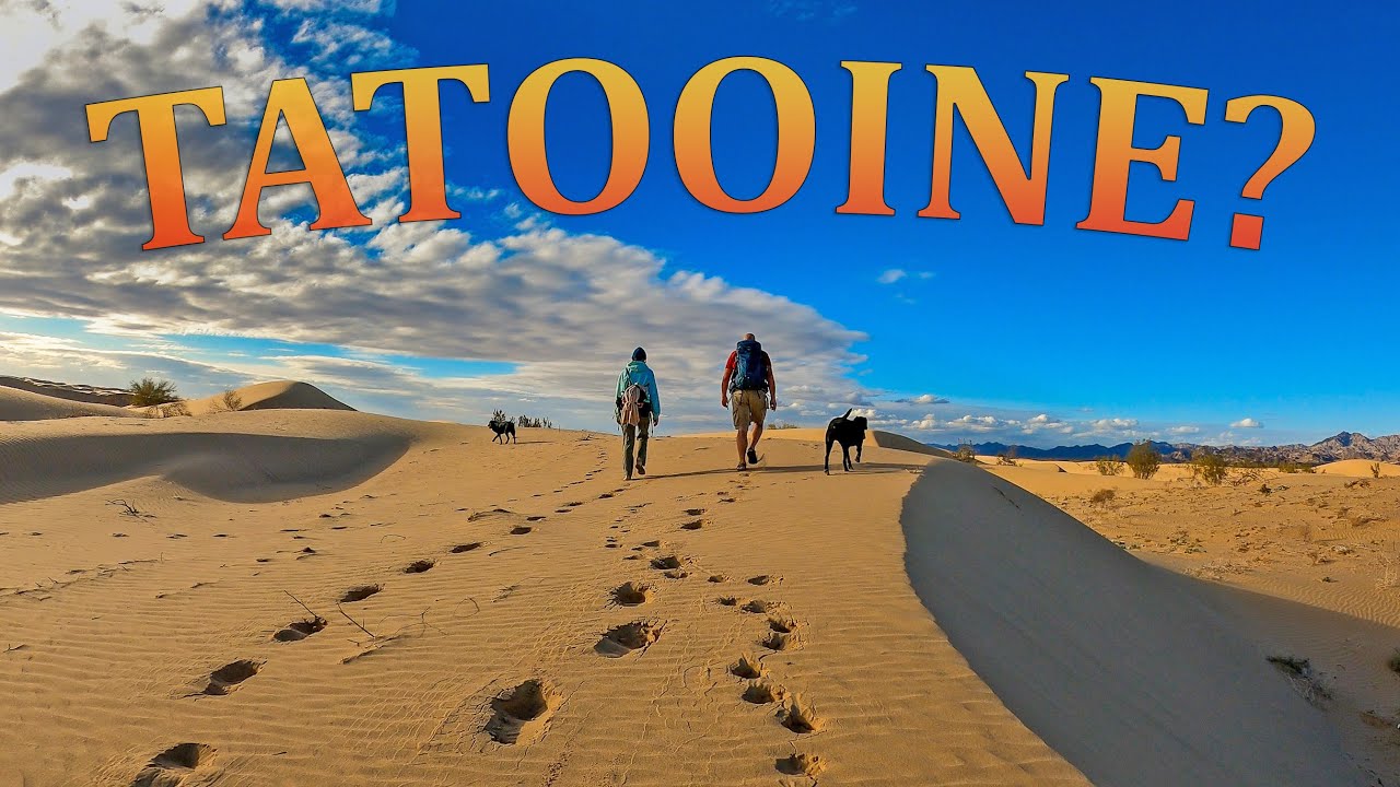 Hiking in the Algodones Sand Dunes