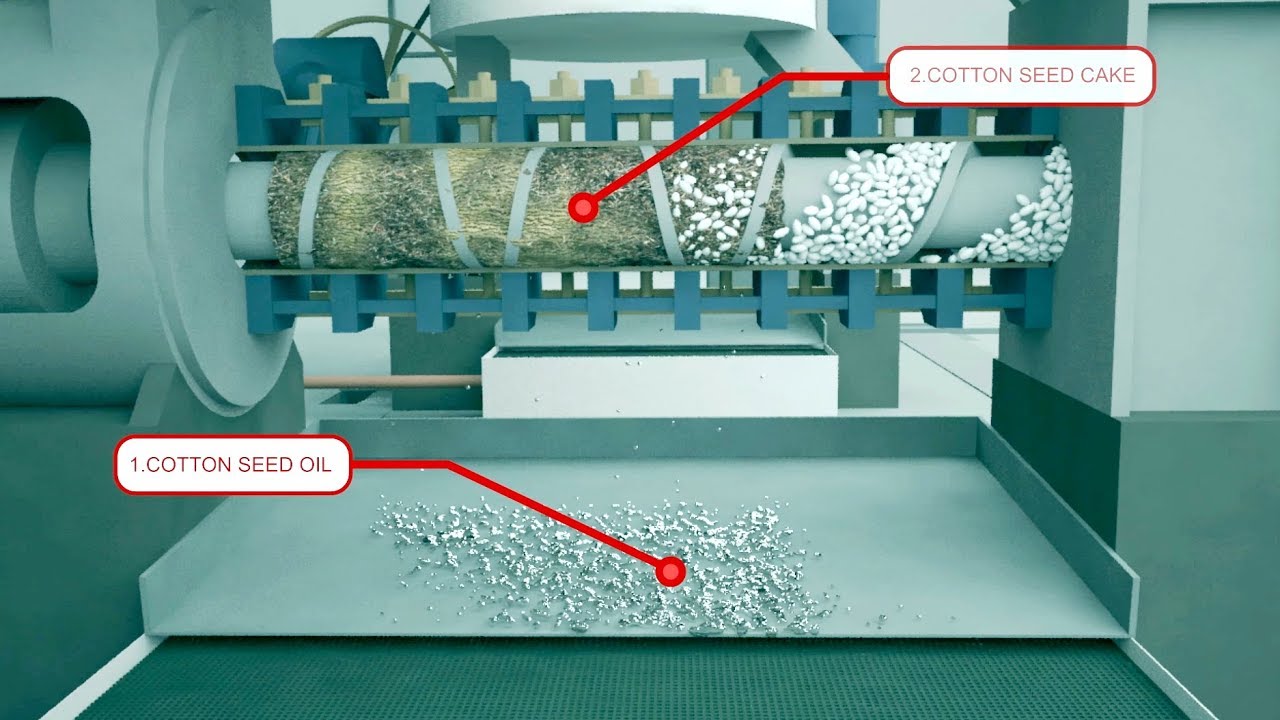 Narmada Oil Industries and Kesharinandan Cotton Seed Cake with animation
