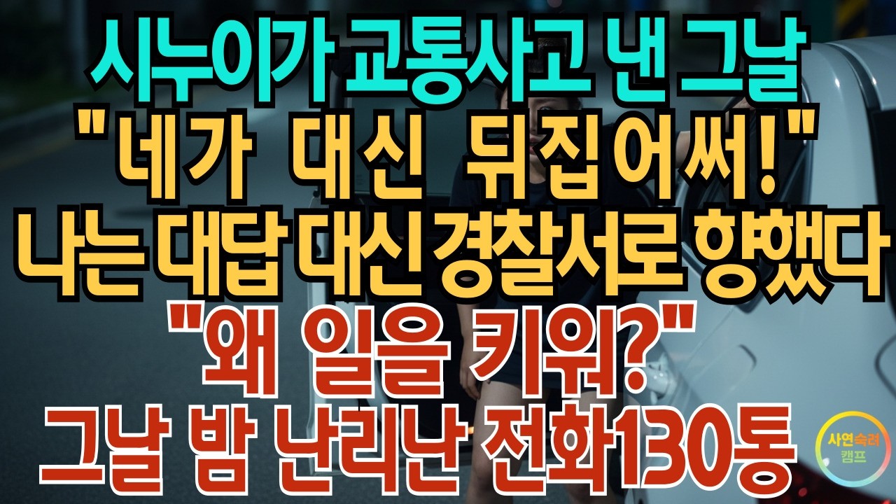 시누이가 교통사고 낸 그날 