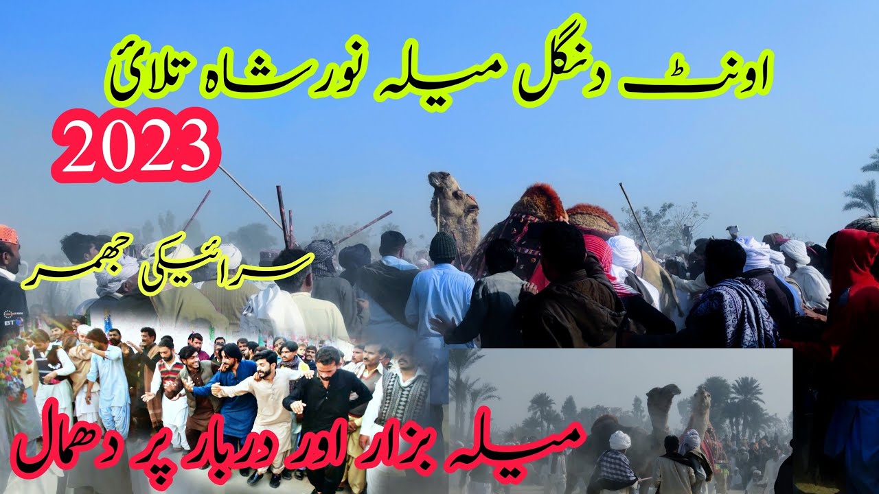 Unton ka dangle Mela Noor shah talai | Camel dangle | Onth dangle Mela Noor shah talai