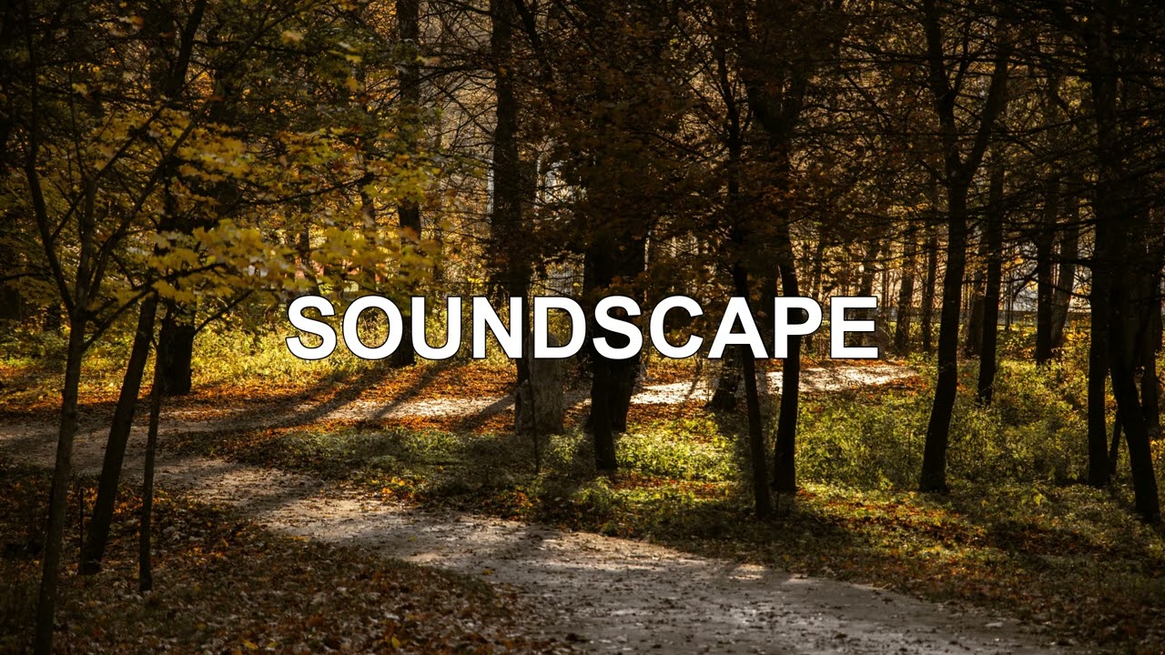 SOUNDSCAPE - 1 Hour Full Progressive House mix to #relax and #chill